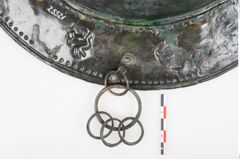 Foto von Bronzebreitrandfußschale (NHMW-PRAE-025521)